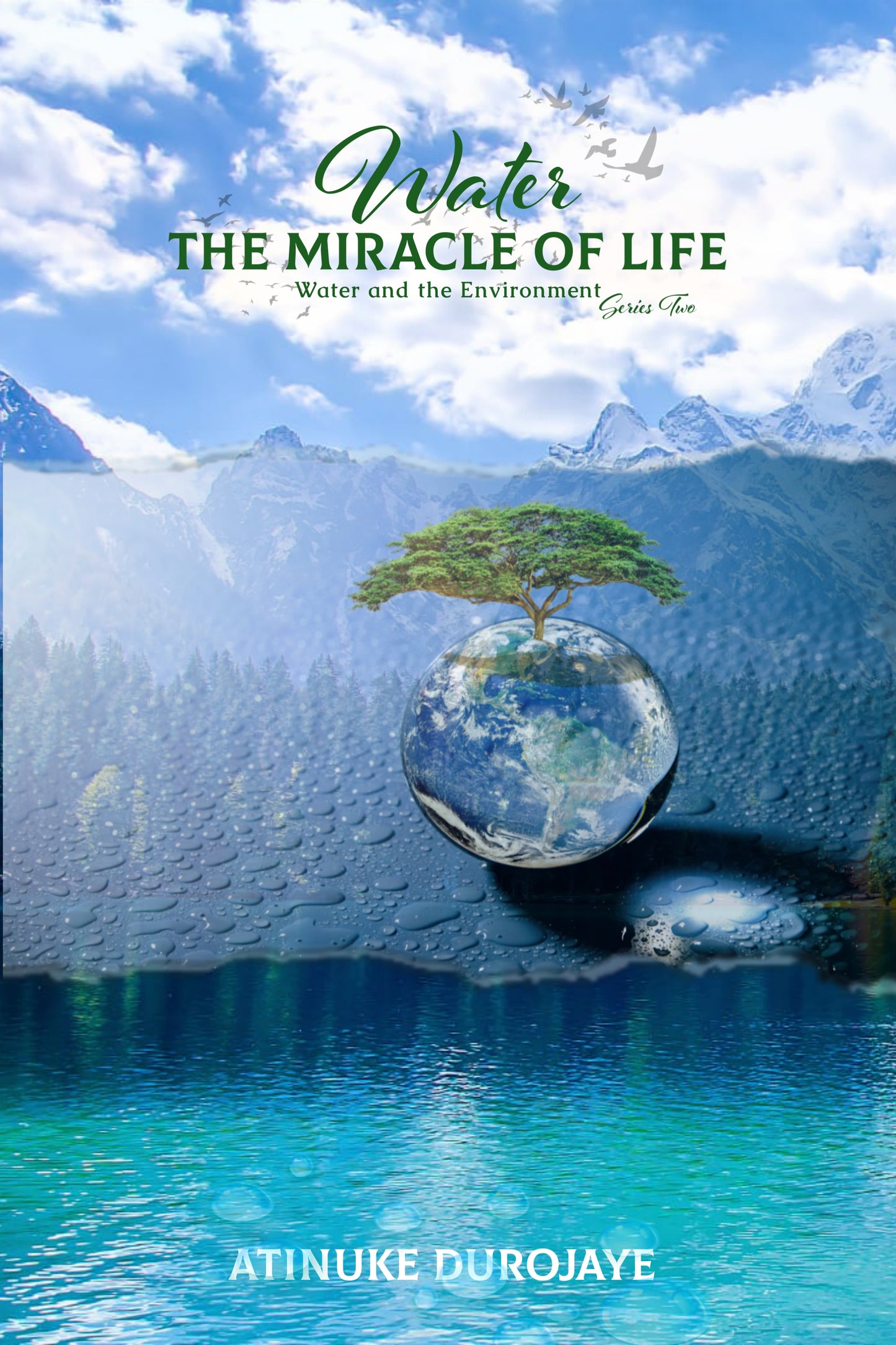 Water the Miracle of Life series two. Water and the Environment (EBook)