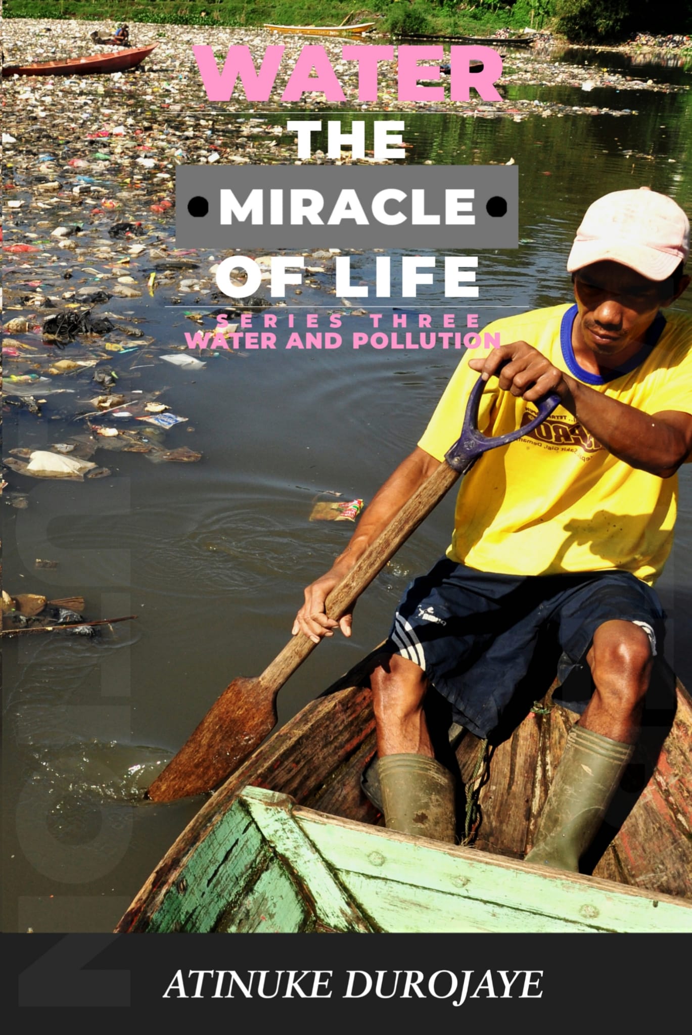 Water the Miracle of Life Series Three - Water and Polution (EBook)
