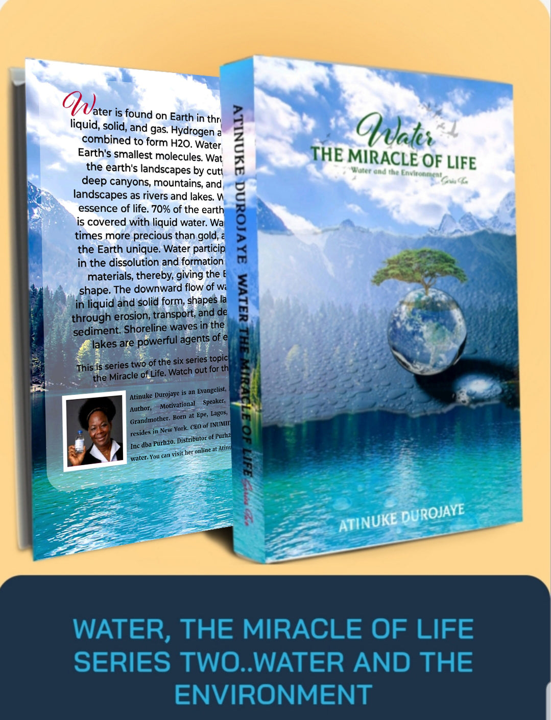 Water the Miracle of Life series two. Water and the Environment (Hardcover)