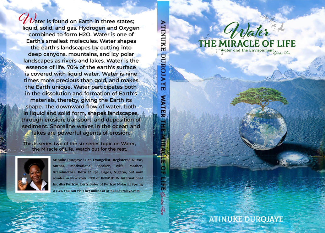 Water the Miracle of Life series two. Water and the Environment (Paperback)